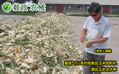 陜西毅政農業機械有限公司,毅政,免剝皮玉米脫粒機,擠出水的玉米籽